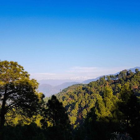 Hotel Homely Abode Dalhousie Exterior foto